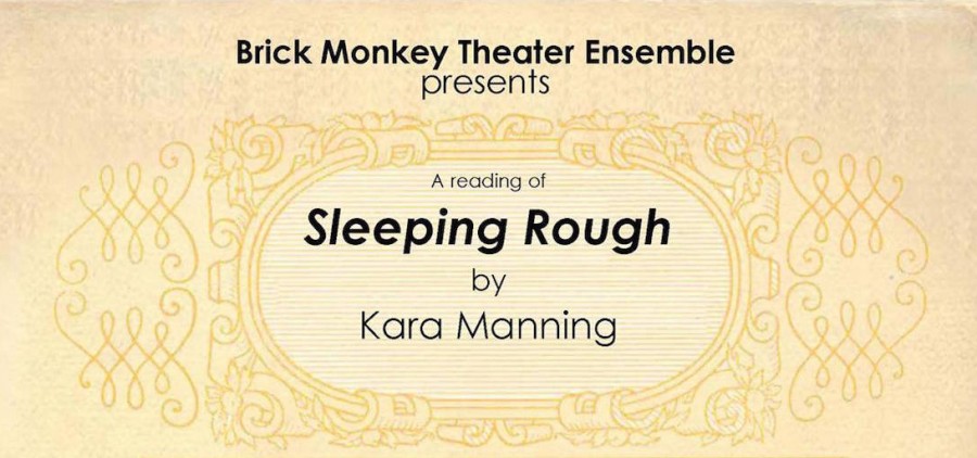 Brick Monkey "Sleeping Rough" poster