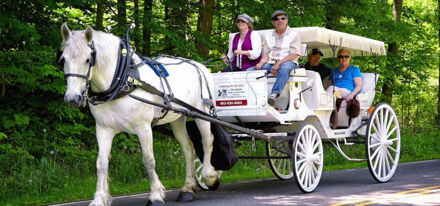 Horse carriage ride at Punderson Manor State Park Lodge