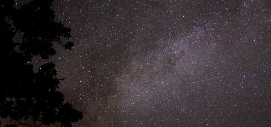 The night sky with stars in it as seen from the ground