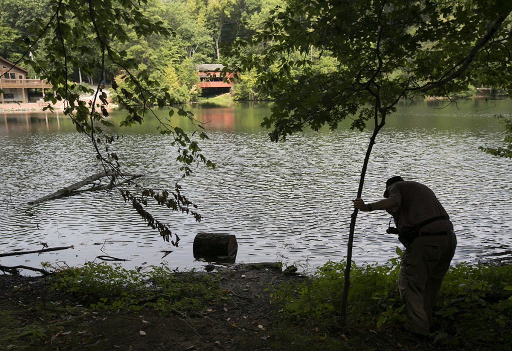 During Saturday’s 2-mile Mushroom Hike at Alley Park in Lancaster, hike leader and parks volunteer Roger Grossenbacher searches an area near the lake for medicinal herbs. (WOUB/Jennifer Coombes)