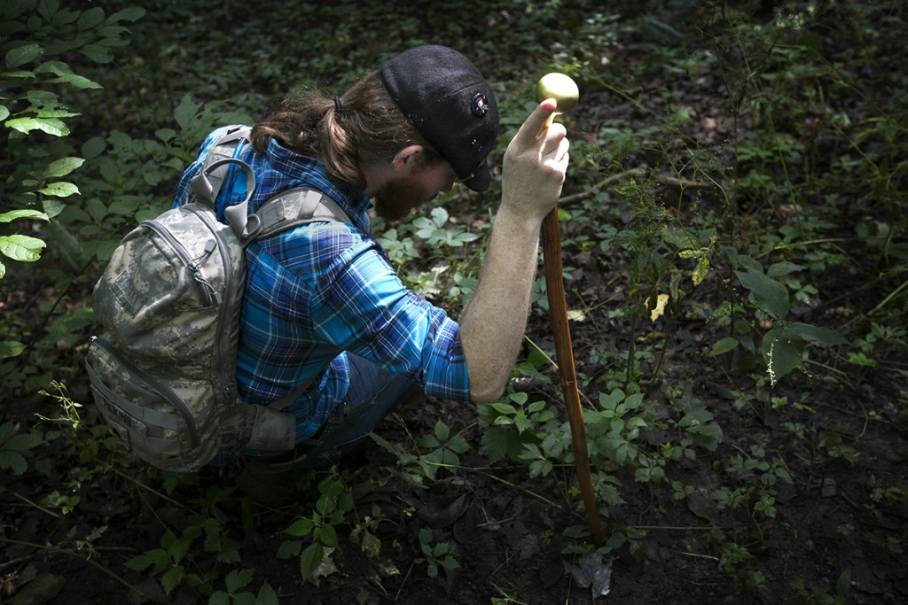 Bryan Filkins II examines under some foliage to find mushrooms Saturday during the Lancaster Parks and Recreation Mushroom Hike. (WOUB/Jennifer Coombes)