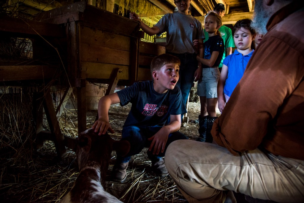 Max Harshen (left) listening to Herb Wasserstorm, 71, speak about the calf her mother mother in the barn at Slate Run Living Historical Farm’s morning chores program in Canal Winchester, Ohio, on September 10, 2016. Wasserstorm has worked for the Farm for 27 years. (WOUB/ Carolyn Rogers)