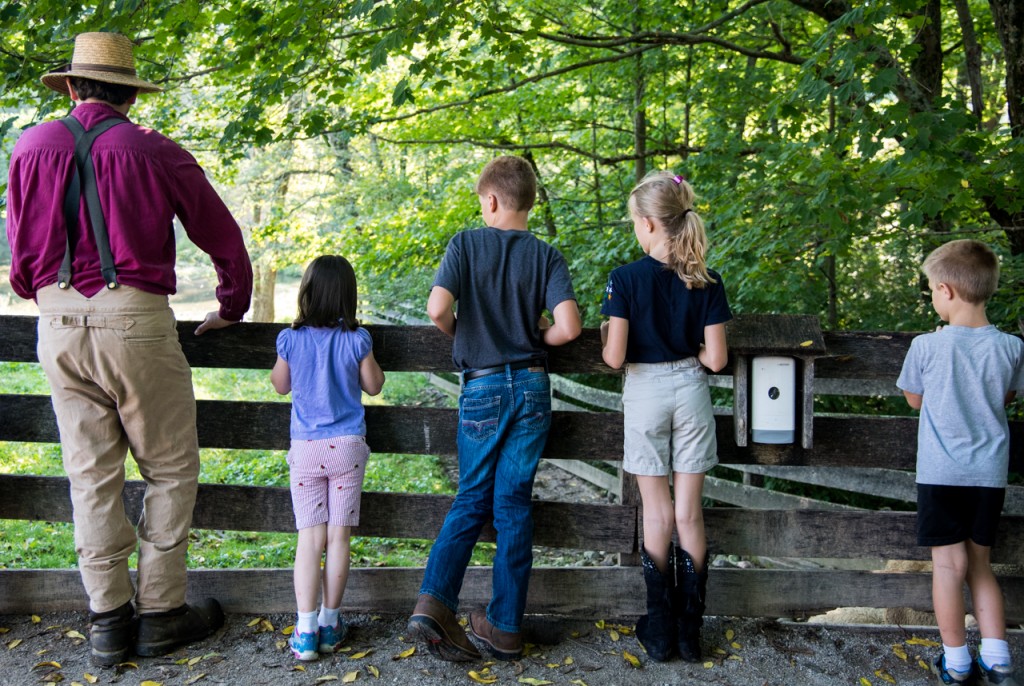 Jeremy Angstadt (left), Naomi Rennelbergs (left), Max Harshen (middle), Ann and Peter (last name withheld) watch for baby lambs sleeping in the pasture at Slate Run Living Historical Farm’s morning chores program in Canal Winchester, Ohio, on September 10, 2016. Angstadt said, “the lambs try to stay in the shady corners over here to try to stay cool in the summer.” (WOUB/ Carolyn Rogers)
