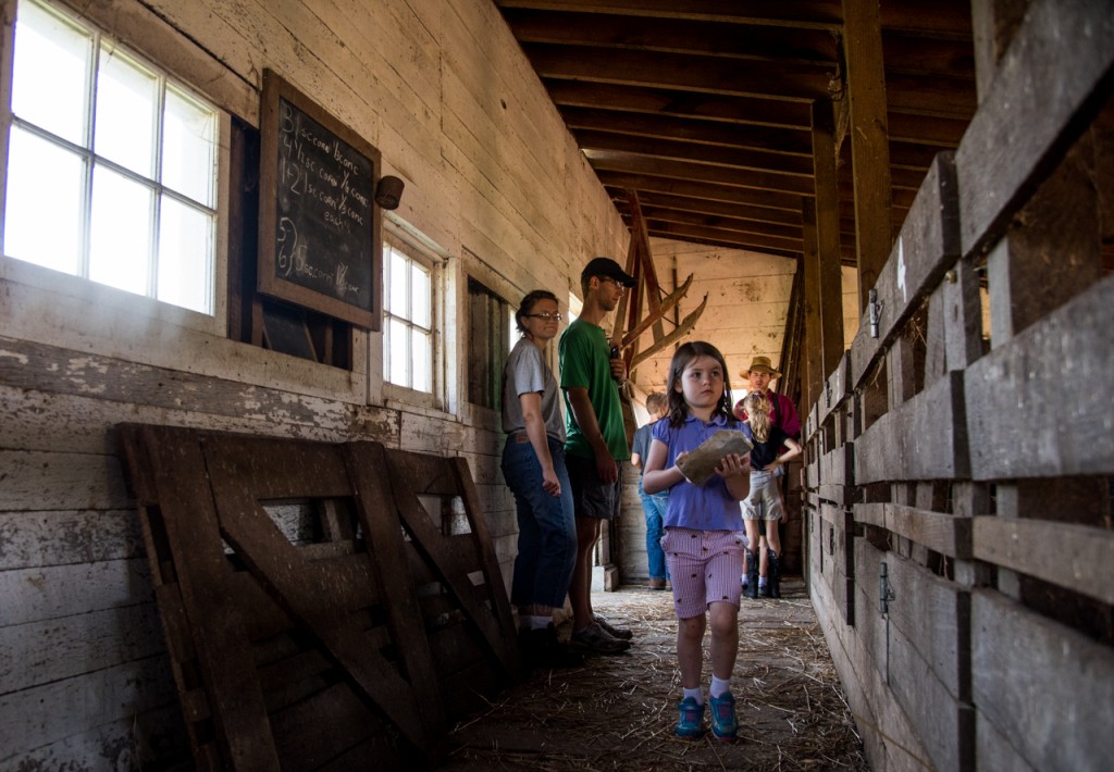 Naomi Rennelbergs, 5, walking to a pig pen to feed as an activity of the Morning Chores Program at at Slate Run Living Historical Farm in Canal Winchester, Ohio, on September 10, 2016. (WOUB/ Carolyn Rogers)