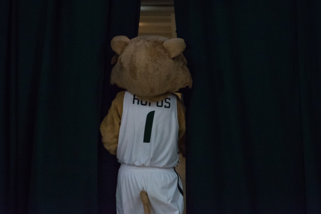 Rufus walks behing the curtain during halftime at the Ohio Men's basketball game on Tuesday, February 7 at the Convocation Center. (Nickolas Oatley/WOUB)