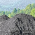 Piles of coal