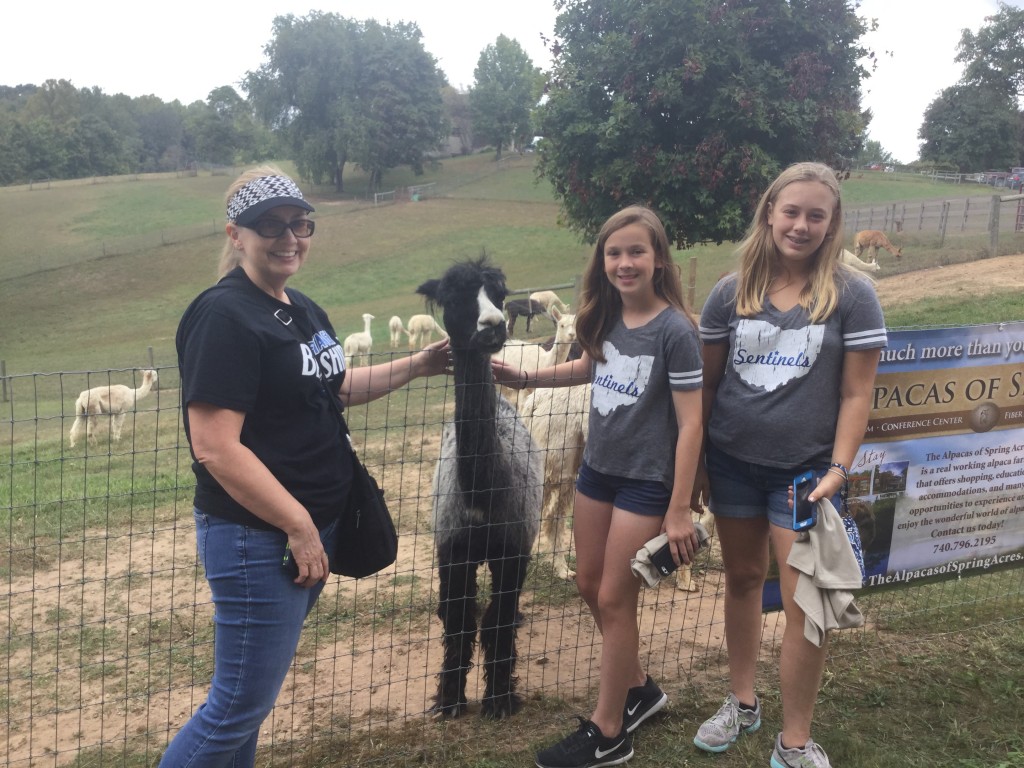 Visitors enjoy the alpacas at the Alpacas of Spring Acres Farm. (Submitted) 
