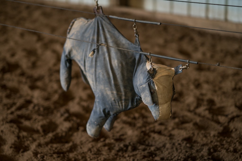 A mock calf used as training for herding cattle is set up for a lesson. (Michael Swensen/WOUB)