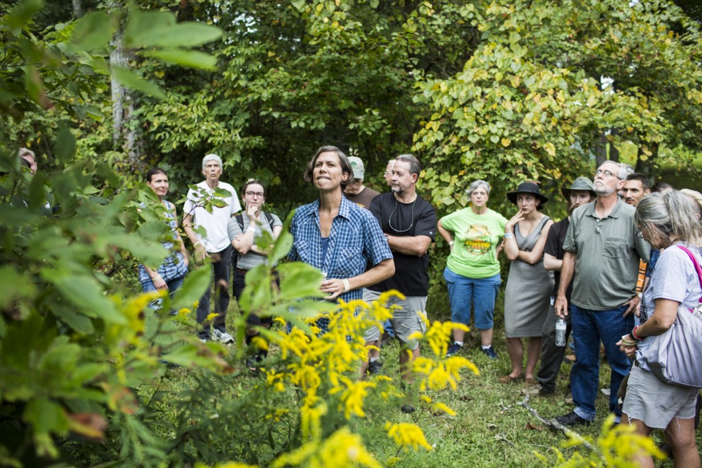 Caty Crabb, center, owner of Wildfire Herbs, hosts a medicinal plant ID walk at the Pawpaw Festival on Friday, September 15, 2017. (Erin Clark/WOUB)