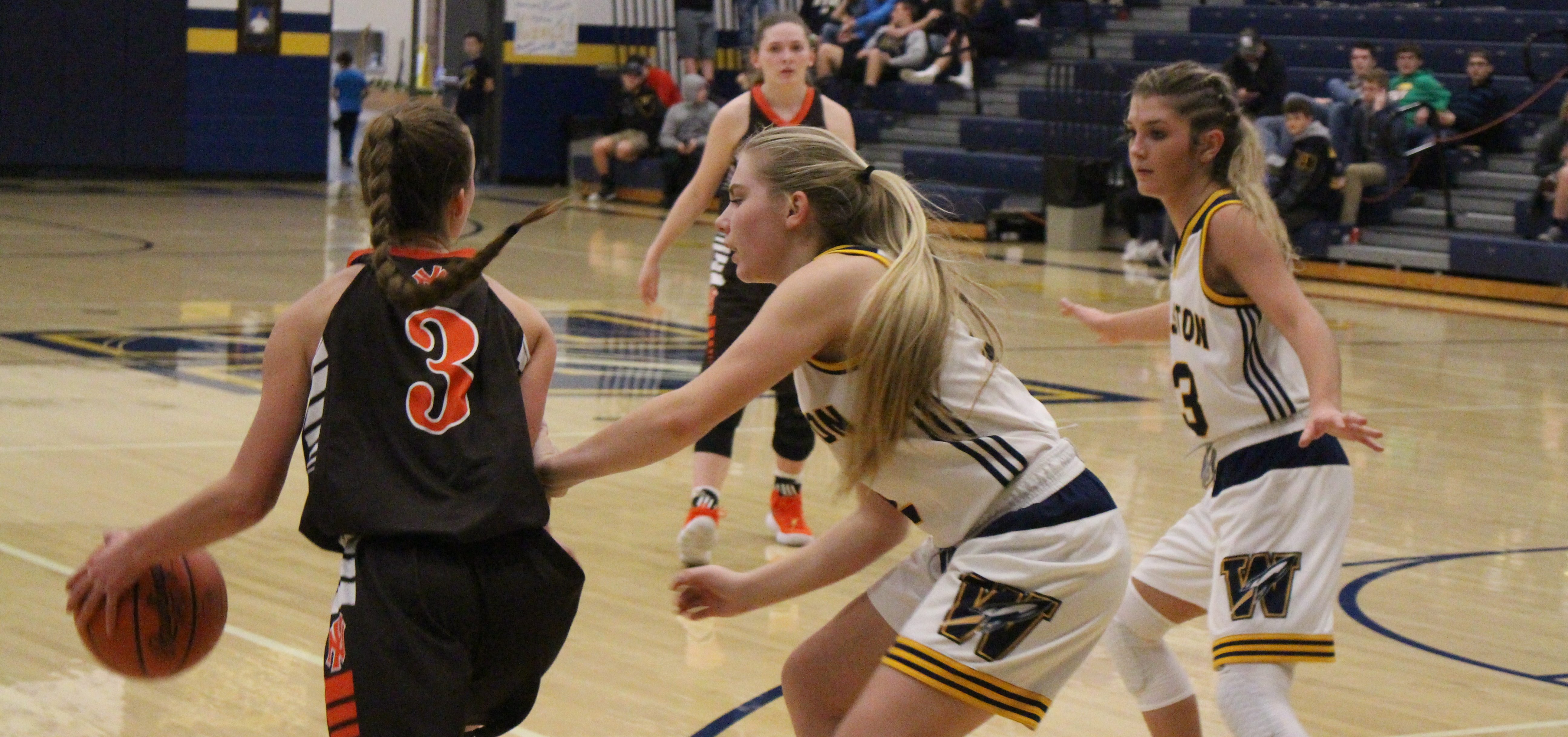 The Nelsonville-York Lady Buckeyes Show Frustration After Win Over The ...