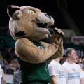 Rufus whoops it up at an Ohio Men's basketball game