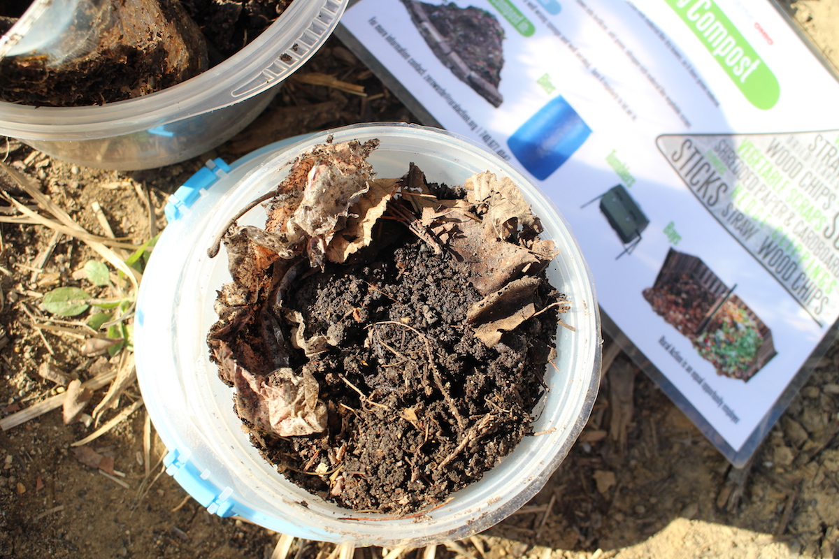 Vermicomposting Backyard Compost Bins WOUB Digital