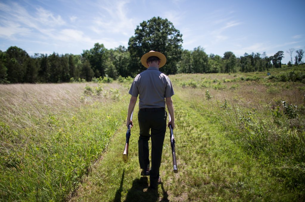 Brandon Bies carries two muskets from the Civil War era to the site at Deep Cut. The soldiers whose limbs were found in the pit were likely wounded during a charge along the Deep Cut ridge.