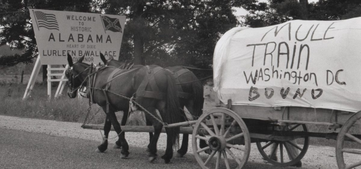 As the Mule Train crossed the first state line into Alabama, participants celebrated having made it through Mississippi safely.