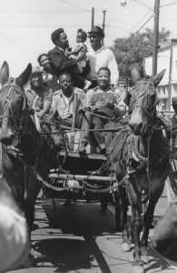 The ages of participants on the Mule Train ranged from 8 months old to 70 years old.