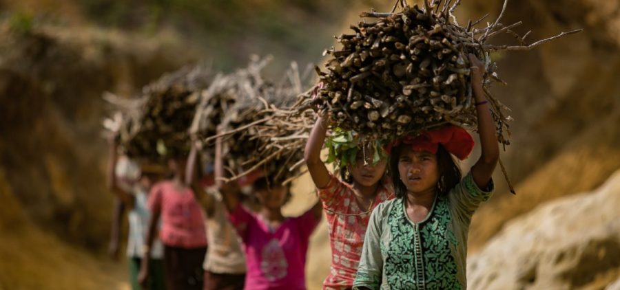 Rohingya children carrying firewood into the Kutupalong camp in Bangladesh. Refugees have stripped almost all the area vegetation to use in cooking fires.