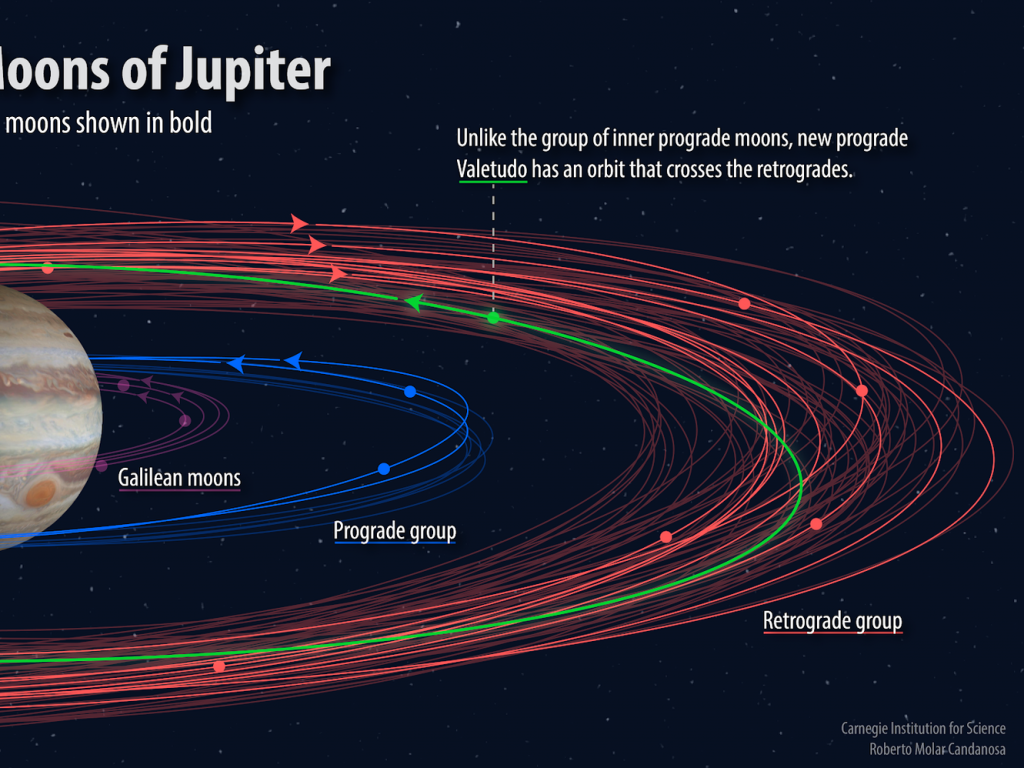 An illustration shows how the orbits of the 12 newly discovered moons (bold) fit into the known orbital groupings of the Jovian moons (not bold). The "oddball" with the proposed name Valetudo orbits in the prograde, but crosses the orbits of the planet's outer retrograde moons.