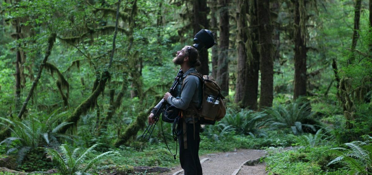 Matt Mikkelsen carries "Fritz," his microphone system, to the path in the Hoh Rain Forest that leads to One Square Inch of Silence in Washington's Olympic National Park.