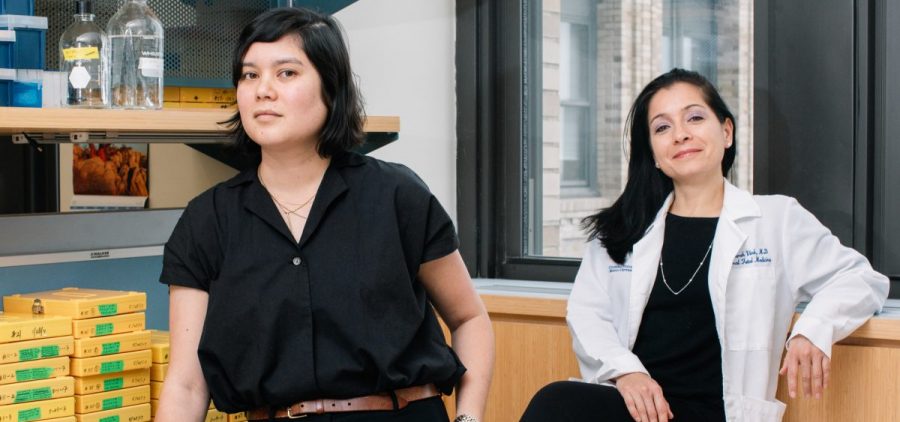 Their research is still in early stages, but Kristin Myers (left), a mechanical engineer, and Dr. Joy Vink, an OB-GYN, both at Columbia University, have already learned that cervical tissue is a more complicated mix of material than doctors ever realized.