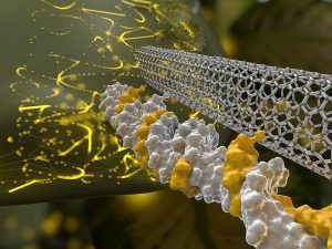 An artist's rendering shows a needle-like carbon nanotube delivering DNA through the wall of a plant cell. It also may be possible to use this method to inject a gene editing tool called CRISPR to alter a plant's characteristics for breeding.