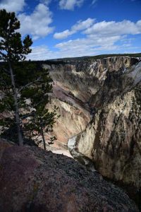 expansive view of Yellowstone