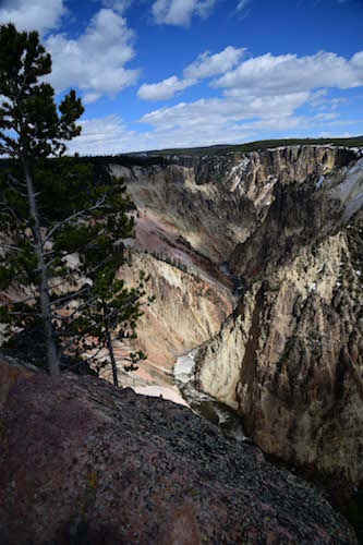 Travel on a spectacular journey through America's first national park. YELLOWSTONE SYMPHONY 