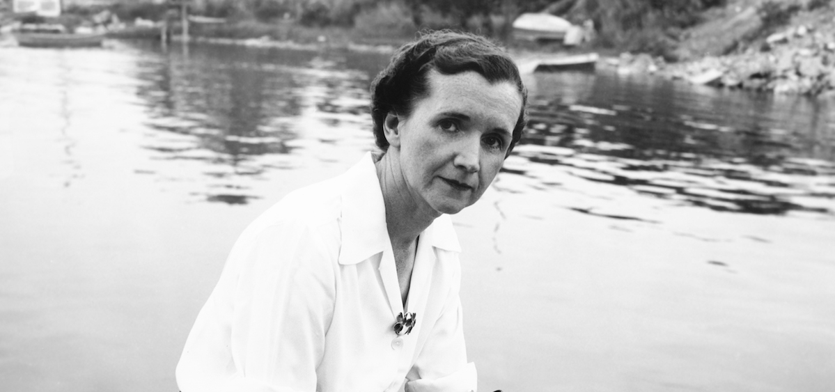 Meet the scientist who revolutionized our relationship to the natural world, "Rachel Carson" on AMERICAN EXPERIENCE - Sunday, March 24 at 5:30 pm - Vimarsana News