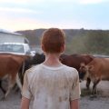 Nolan family farm - POV "Farmsteaders" boy watching cattle