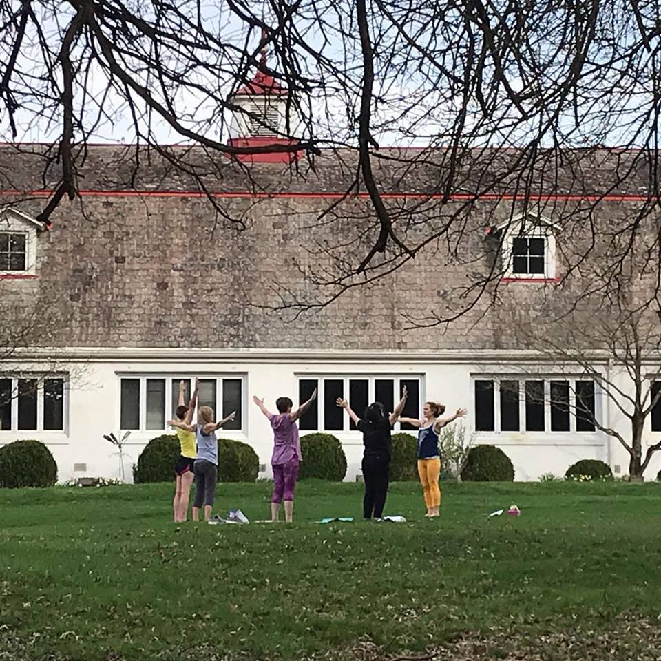 People do yoga outside the Dairy Barn