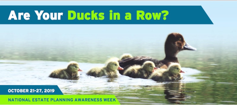 ducks in pond for national estate planning awareness week
