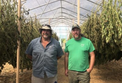 Tony Silvernail (left) and Shawn Lucas (right) inside their high tunnel where hemp is drying.