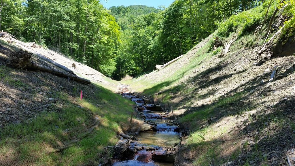 Stream restoration work in progress on an old mining site in West Virginia.