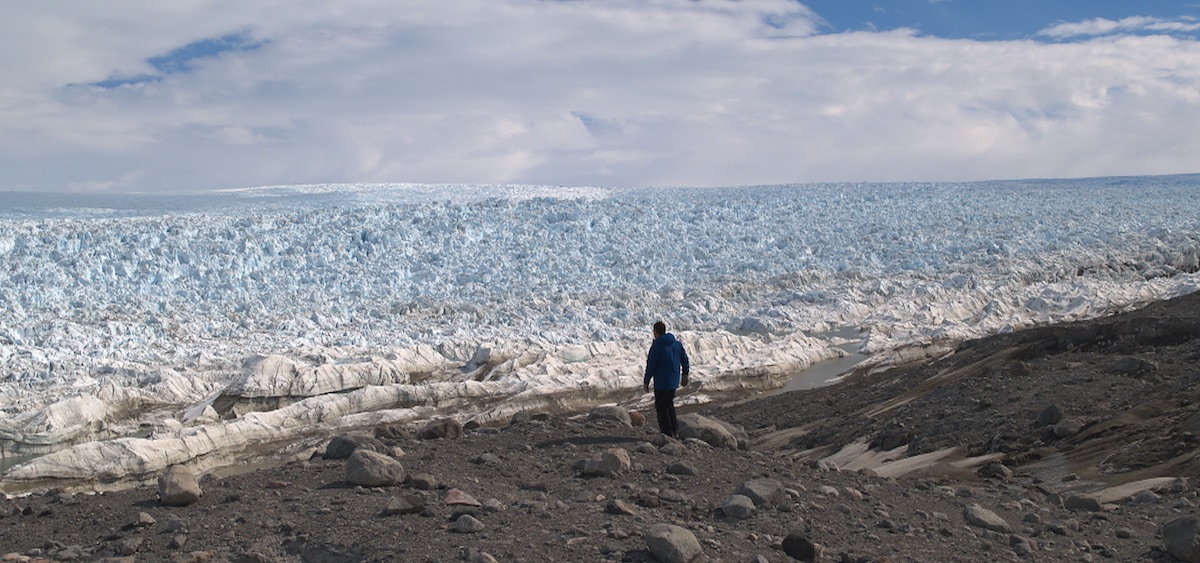 Following a trail of fossils found in all the wrong places in "Polar Extremes" on NOVA a two-hour special, Wednesday, June 15 at 9 pm - Vimarsana News