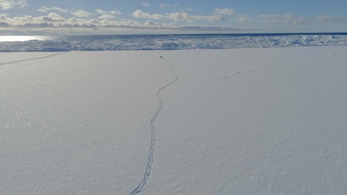 footprints in snow near glacier