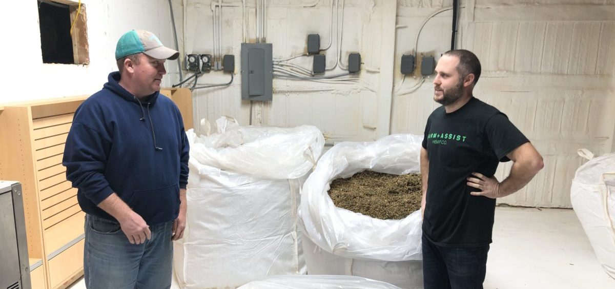 Over-Hyped Hemp? Amid Price Drop and a Big Bankruptcy, Some Farmers