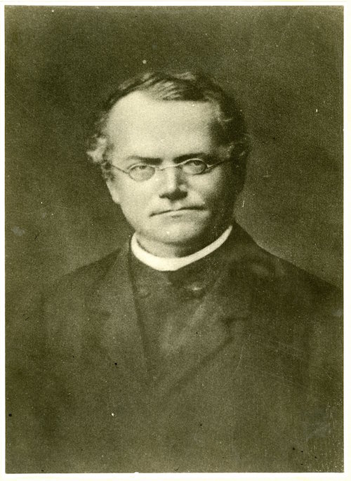 A portrait of Gregor Mendel