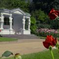 roses in Buckingham Palace garden