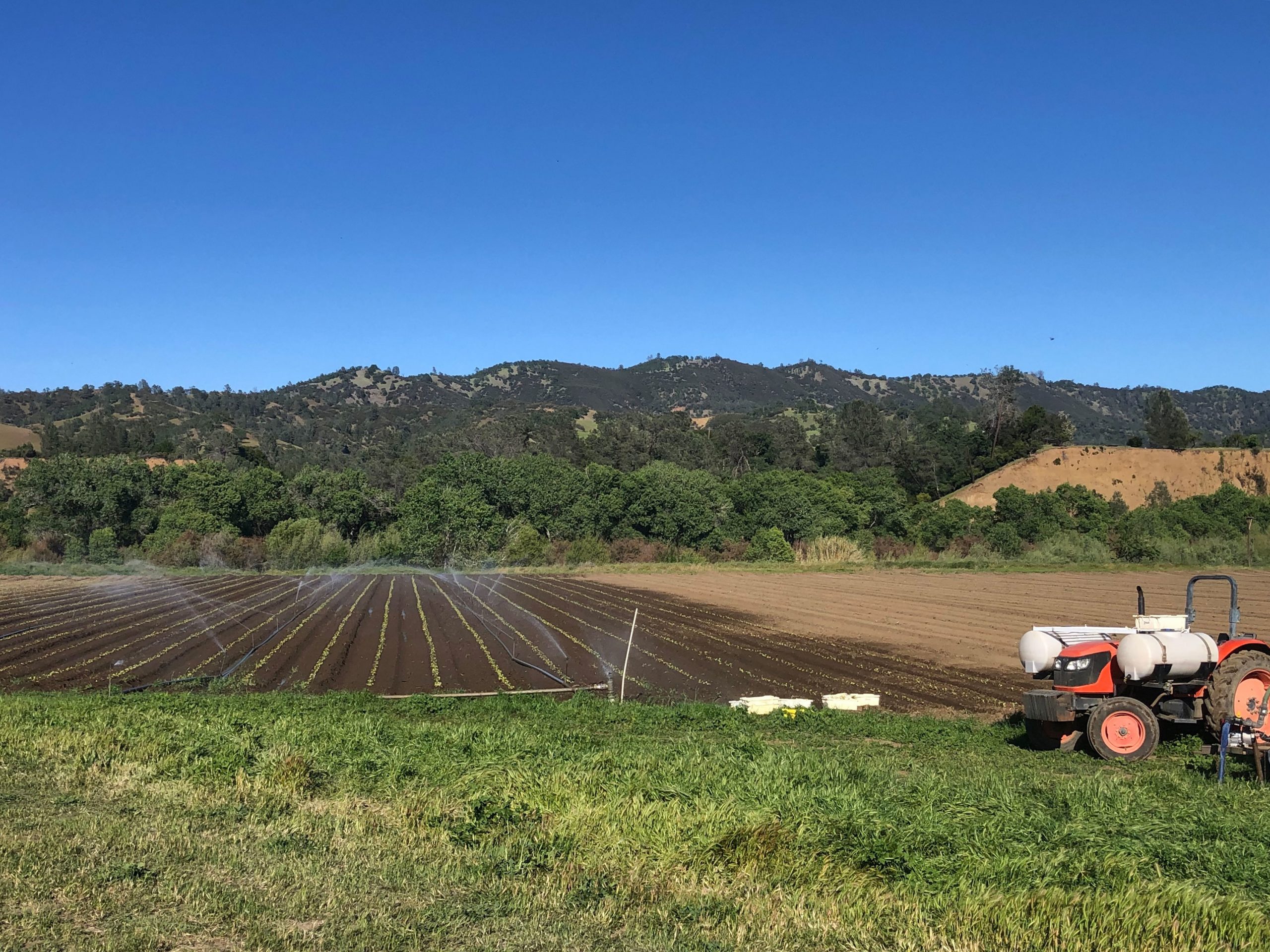 Full Belly Farm, a 450-acre, organic farm, in California's Capay Valley northwest of Sacramento, is busier than ever trying to ramp up production to meet soaring demand.