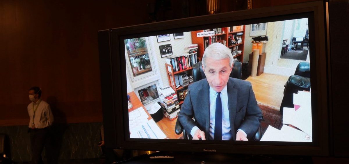 Dr. Anthony Fauci, director of the National Institute of Allergy and Infectious Diseases, speaks remotely Tuesday during a Senate Health, Education, Labor and Pensions Committee hearing on the coronavirus.
