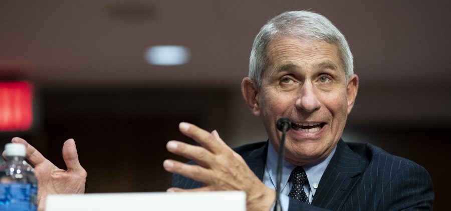Dr. Anthony Fauci, director of the National Institute of Allergy and Infectious Diseases, speaks during a Senate Health, Education, Labor and Pensions Committee hearing on Tuesday.