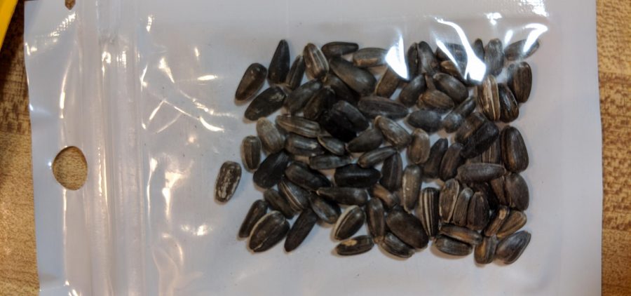 A packet of unsolicited seeds received by an Ohio citizen in the mail.