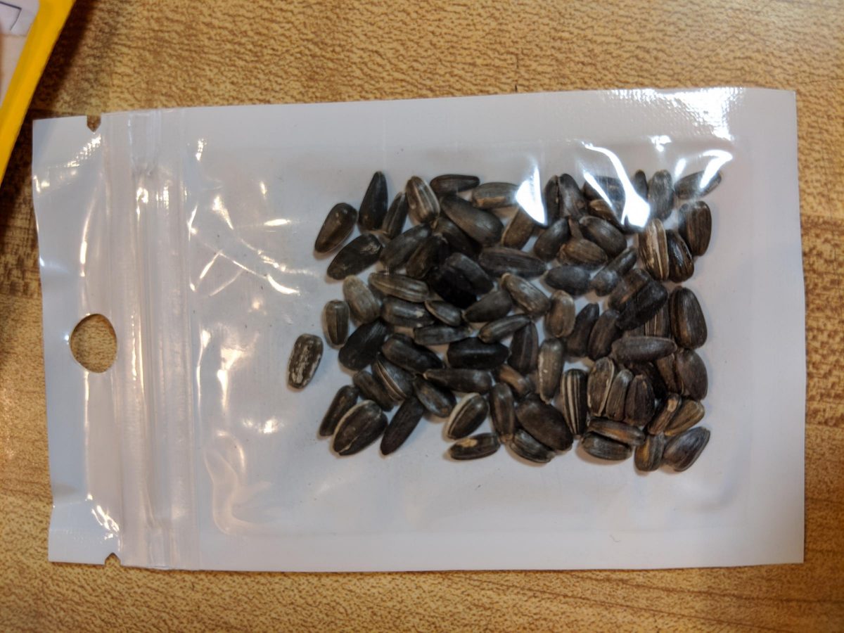A packet of unsolicited seeds received by an Ohio citizen in the mail.