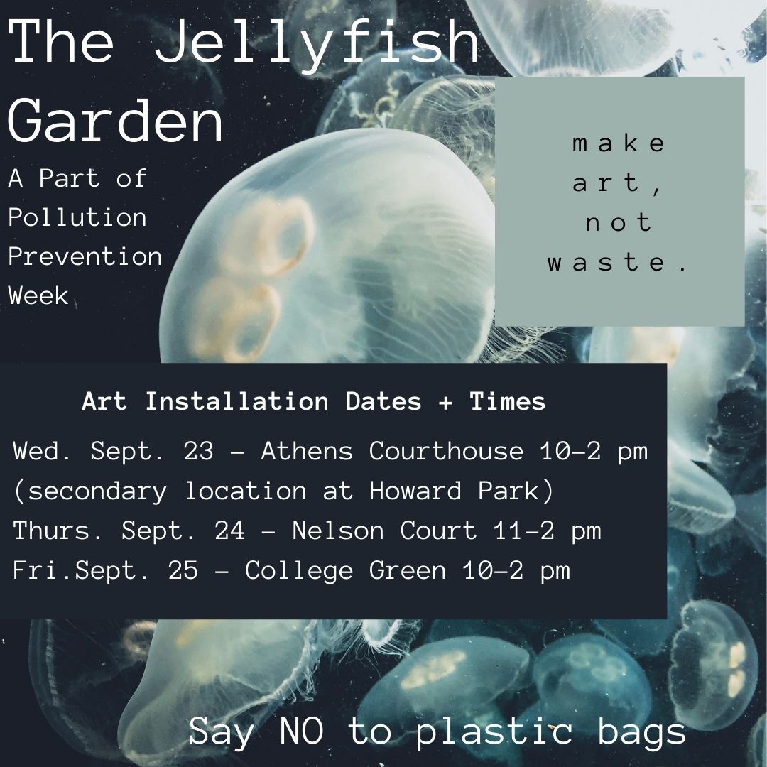 Jellyfish garden