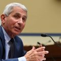 Dr. Anthony Fauci, director of the National Institute for Allergy and Infectious Diseases, is pictured in a hearing on July 31. He is testifying on Wednesday alongside other top health officials in a Senate panel hearing.