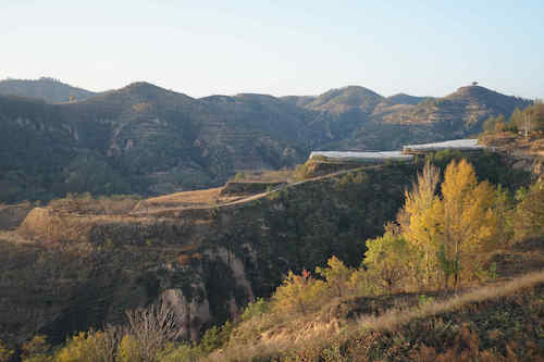The rolling hills of the Loess Plateau