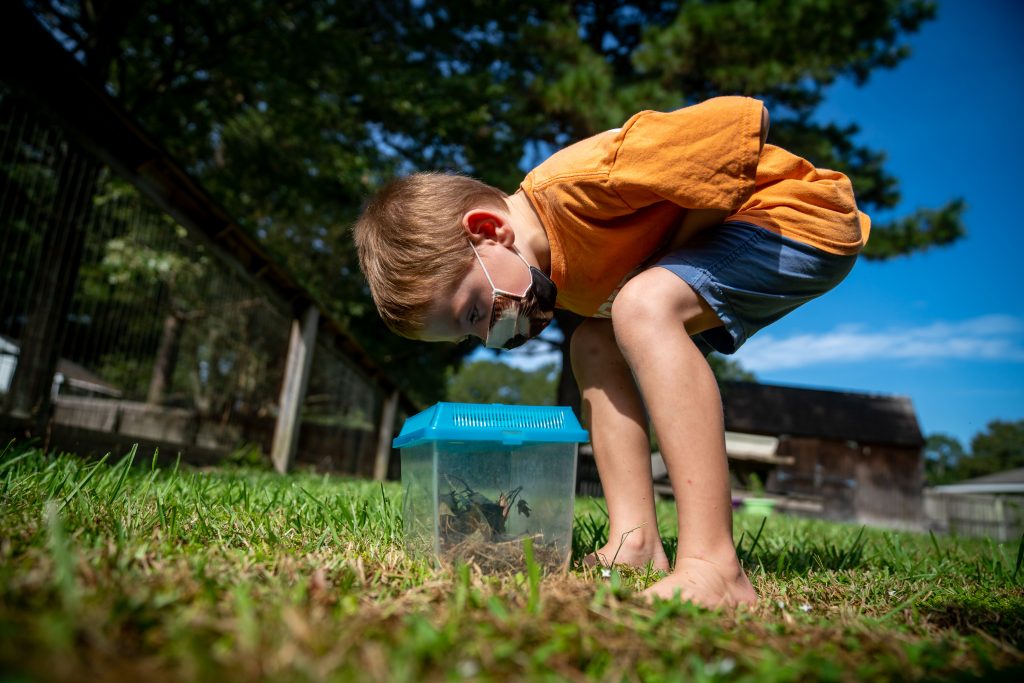 Lachlan Barilleau, 5, enjoys catching insects in his backyard in Central, near Baton Rouge, La.