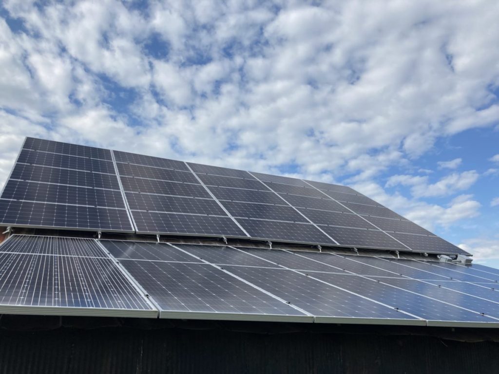 Solar panels on Bryce Baumann’s farm.