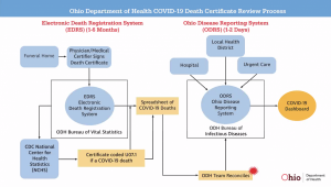A chart shows COVID-19 death data processes