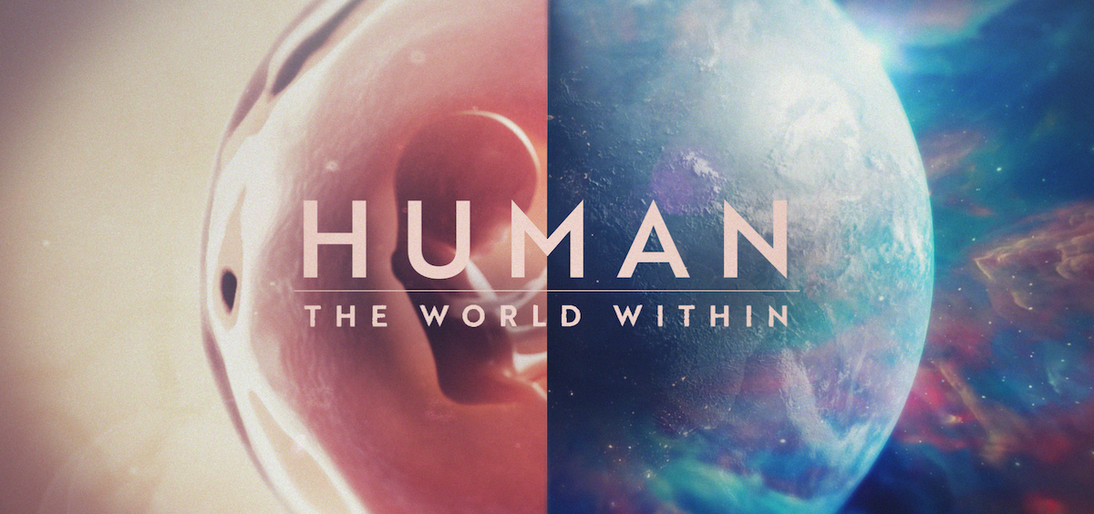 Human 2021. Human the World within. Netflix Human.