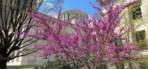 The Ohio Statehouse in Spring